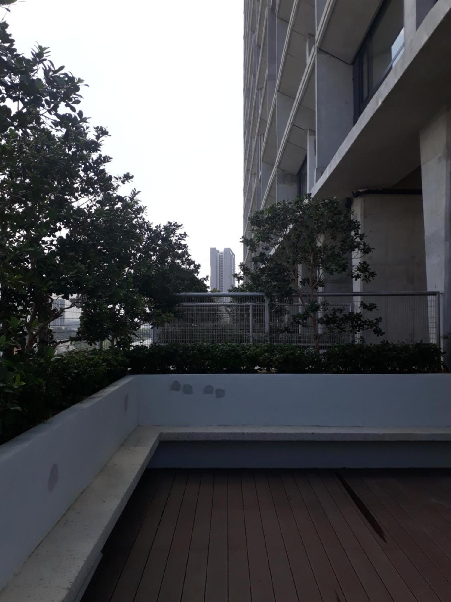 Mufasa Suites At Tamarind Suites With Wifi Netflix Coway Level 8 塞贝维 外观 照片